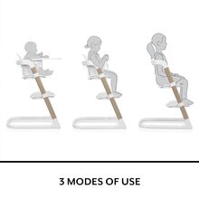 صندلی غذا چندکاره Evenflo مدل RightSeat gallery2