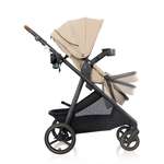 ست کالسکه و کریر Evenflo Shyft Intuiti+ Travel System مدل Revolve180 LiteMax NXT رنگ کرم thumb 4
