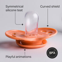 پستانک Tommee Tippee مدل fun friends بسته دو عددی M6-18 gallery1