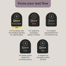 سرشیشه تامی تیپی +6m مدل Natural Start Fast Flow پک 2 عددی Tommee Tippee gallery6